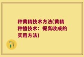 种黄精技术方法(黄精种植技术：提高收成的实用方法)