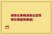 湖南北黄精湖南北部发现珍稀植物黄精)