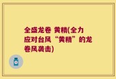 全盛龙卷 黄精(全力应对台风“黄精”的龙卷风袭击)