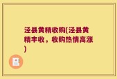 泾县黄精收购(泾县黄精丰收，收购热情高涨)