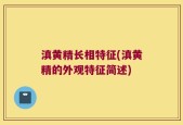 滇黄精长相特征(滇黄精的外观特征简述)