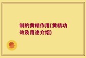 制的黄精作用(黄精功效及用途介绍)