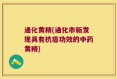 通化黄精(通化市新发现具有抗癌功效的中药黄精)