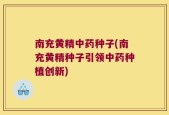 南充黄精中药种子(南充黄精种子引领中药种植创新)