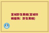 宣城野生黄精(宣城珍稀植物：野生黄精)