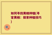 如何寻找黄精种植(寻宝黄精：探索种植技巧)