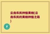 云南农民种植黄精(云南农民的黄精种植之路)