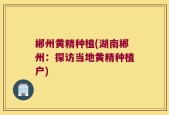 郴州黄精种植(湖南郴州：探访当地黄精种植户)