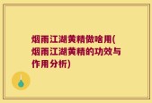 烟雨江湖黄精做啥用(烟雨江湖黄精的功效与作用分析)