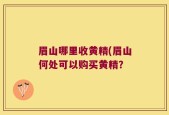 眉山哪里收黄精(眉山何处可以购买黄精？