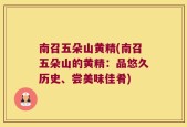 南召五朵山黄精(南召五朵山的黄精：品悠久历史、尝美味佳肴)