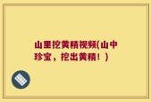 山里挖黄精视频(山中珍宝，挖出黄精！)