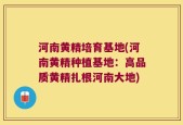 河南黄精培育基地(河南黄精种植基地：高品质黄精扎根河南大地)