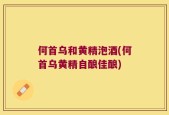 何首乌和黄精泡酒(何首乌黄精自酿佳酿)