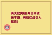 两天就黄精(两日内收获丰盛，黄精佳品引人瞩目)