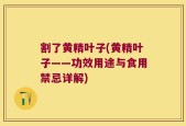 割了黄精叶子(黄精叶子——功效用途与食用禁忌详解)