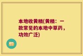 本地收黄精(黄精：一款常见的本地中草药，功效广泛)