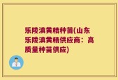 乐陵滇黄精种苗(山东乐陵滇黄精供应商：高质量种苗供应)