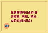 党参黄精枸杞山药(神奇植物：黄精、枸杞、山药的绝妙组合)