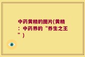中药黄精的图片(黄精：中药界的“养生之王”)