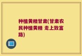 种植黄精甘肃(甘肃农民种植黄精 走上致富路)