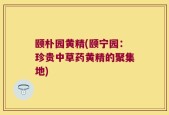 颐朴园黄精(颐宁园：珍贵中草药黄精的聚集地)