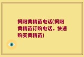 揭阳黄精苗电话(揭阳黄精苗订购电话，快速购买黄精苗)