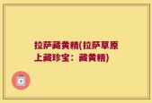 拉萨藏黄精(拉萨草原上藏珍宝：藏黄精)