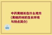 中药黄精长在什么地方(黄精药材的生长环境与特点简介)