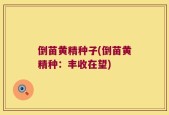 倒苗黄精种子(倒苗黄精种：丰收在望)