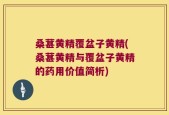 桑葚黄精覆盆子黄精(桑葚黄精与覆盆子黄精的药用价值简析)