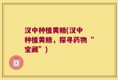 汉中种植黄精(汉中 种植黄精，探寻药物“宝藏”)