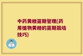 中药黄精苗期管理(药用植物黄精的苗期栽培技巧)