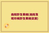 南阳野生黄精(南阳发现珍稀野生黄精资源)