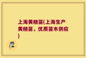 上海黄精苗(上海生产黄精苗，优质苗木供应)
