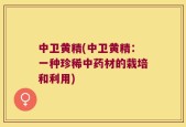 中卫黄精(中卫黄精：一种珍稀中药材的栽培和利用)