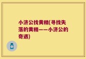 小济公找黄精(寻找失落的黄精——小济公的奇遇)