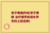 安宁黄精药材(安宁黄精 治疗疲劳和滋补养生的上佳选择)