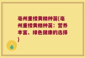 亳州重楼黄精种苗(亳州重楼黄精种苗：营养丰富、绿色健康的选择)