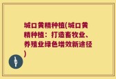 城口黄精种植(城口黄精种植：打造畜牧业、养殖业绿色增效新途径)