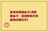 亚洲滇黄精仙子(滇黄精仙子：亚洲稀有珍贵植物闪耀光芒)