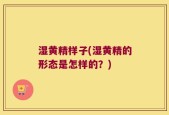 湿黄精样子(湿黄精的形态是怎样的？)