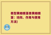 姜型黄精根茎姜黄精根茎：功效、作用与使用方法)