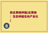款庄黄精种植(庄黄精：生态种植走向产业化)