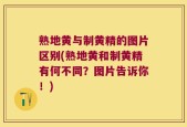 熟地黄与制黄精的图片区别(熟地黄和制黄精有何不同？图片告诉你！)