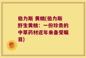 伯力斯 黄精(伯力斯野生黄精：一份珍贵的中草药材近年来备受瞩目)