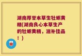 湖南厚誉本草生牡蛎黄精(湖南良心本草生产的牡蛎黄精，滋补佳品！)