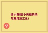 收小黄精(小黄精的功效及用途汇总)