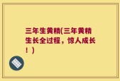 三年生黄精(三年黄精生长全过程，惊人成长！)