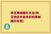 林芝黄精图片大全(林芝地区丰富多彩的黄精图片欣赏)